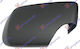 Καπάκι Καθρέφτη Βαφόμενο Bmw Series 3 E46 Compact 01-05 51168238376 Δεξί 1 Τεμ