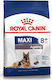 Royal Canin Ageing 8+ 15kg Trockenfutter für ältere Hunde großer Rassen mit Mais, Geflügel, Reis und Weizen