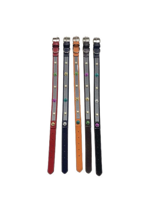 Hundehalsband 15mm x 40cm 12 Stück Verschiedene Farben Hundehalsband 15mm x 40cm 12 Stück Verschiedene Farben