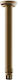 Armando Vicario Replacement Shower Arm Extension