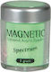 Magnetic Nail Design Σκόνη Διακόσμησης για Νύχια σε Πράσινο Χρώμα