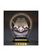 World of Wood World Wood Decorative Lamp Transparent