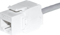 Netrack Keystone 105-38 1 Stück Netrack Keystone 105-38 1 Stück