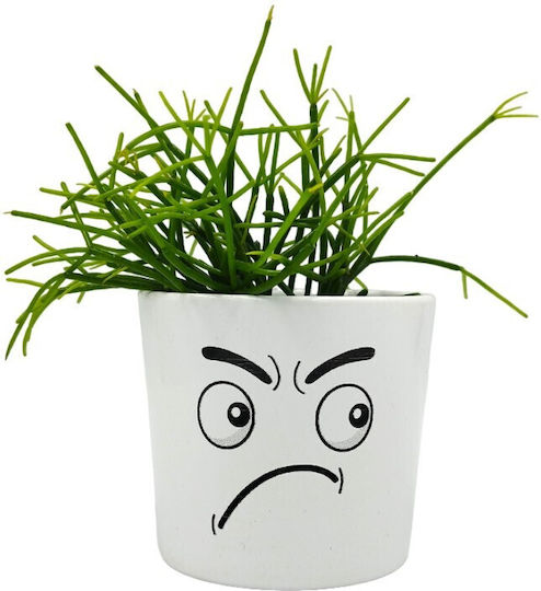 Σύνθεση Rhipsalis Κασπώ Φατσούλα Διπλή Happy Angry