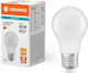Ledvance LED Bulb 4.9W for Socket E27 and Shape A55 Warm White 470lm