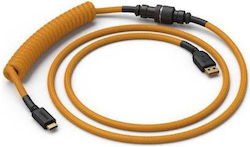 Glorious Coiled Cable Gold Glo-cbl-coil-gg
