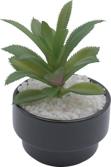 Künstliche Pflanze im Töpfchen Schwarz 14cm Uncle George