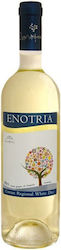 Δουλουφάκης Enotria Λευκό Ξηρό 750ml
