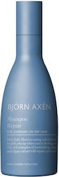 Björn Axén Repair Shampoo Reparierendes Shampoo für trockenes, geschädigtes Haar 250ml