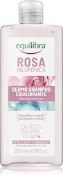 Equilibra Shampoo Reconstruction/Nourishment 265ml