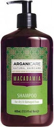 Arganicare Feuchtigkeitsshampoo 100 ml Arganicare Feuchtigkeitsshampoo 100 ml