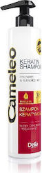 Delia Cosmetics Cameleo Keratin Shampoos Farberhalt für Gefärbt Haare 1x250ml