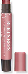 Burt's Bees Schimmer Lippenbalsam Peony 2,6 g Burt's Bees Schimmer Lippenbalsam Peony 2,6 g
