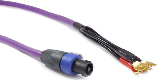 Melodika Speaker Cable Speakon female - Spade 15m