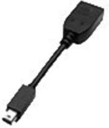 PNY Mini-DisplayPort männlich zu DVI-D weiblich PNY Mini-DisplayPort männlich zu DVI-D weiblich