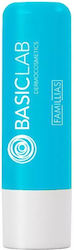 Basiclab Famillias Protective Lipstick Nourishment Regeneration 4g Basiclab Famillias Protective Lipstick Nourishment Regeneration 4g