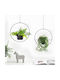 Megapap Set 2 Jardiniere Metalice Negru