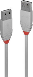 Lindy 36713 USB 2.0 USB-A Masculin în USB-A Feminin Gri 2m