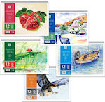 Typotrust Watercolour Pad No3 25x35cm 12 Sheets 10pcs (Μiscellaneous Designs)