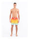 Phantom Eco Herren Badebekleidung Shorts Multicolour