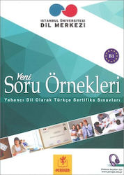 Soru Ornekleri B1