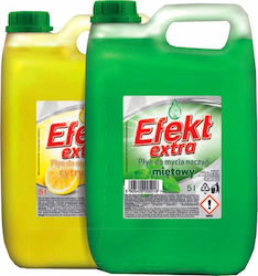 Efekt Commercial Dishwasher Liquid Detergent 5lt