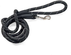 Glee Dog Leash/Lead Strap in Black color