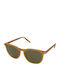 Serengeti Arlie Unisex Sunglasses with Yellow Plastic Frame and Green Lens SS483005