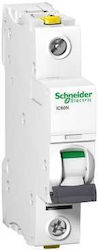 Schneider Electric Αυτόματη Ασφάλεια Μονοπολική AC/DC A9F04113
