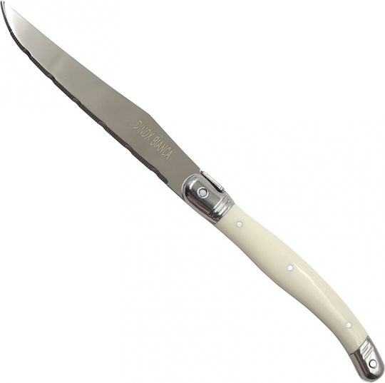 Dinox Bianca Meat Knives from Stainless Steel 23cm 12 Pieces