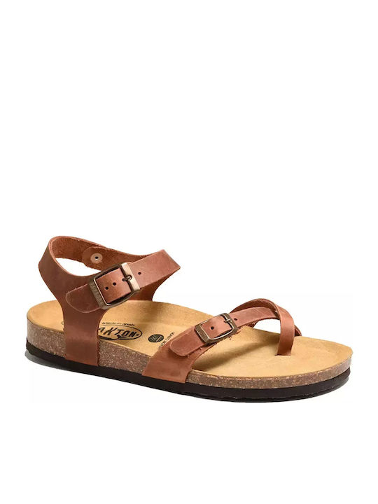 Plakton Apure Women's Flat Sandals in Tabac Bro...
