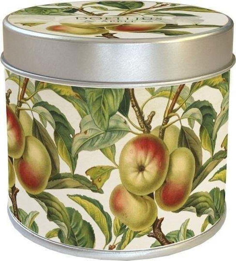 Skona Ting Αρωματικό Κερί Σόγιας APPLE 205gr
