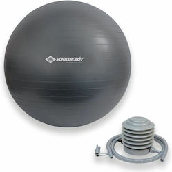 Schildkrot Μπάλα Pilates 75cm σε Γκρι Χρώμα