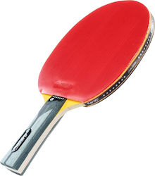 Hi-Tec Ρακέτα Ping Pong Hi-Tec Ρακέτα Ping Pong