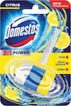 Domestos Block Toilet 40gr