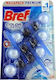 Bref Block Λεκάνης 3x50gr