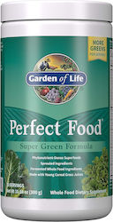 Garden Of Life Perfect Food Super Green Формула 300гр Garden Of Life Perfect Food Super Green Формула 300гр