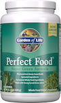 Garden Of Life Perfect Food Super Green Formula 600gr
