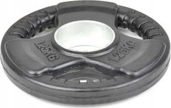 Master Hantelscheibe Metallisch 1 x 1,25kg Φ51mm mit Griffen
