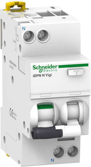 Schneider Electric 2-Poles Panel Push Switch 230V 16A