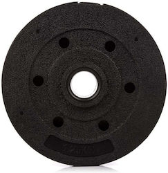 Eb Fit Placă Metalică 1 x 1.25kg Φ28mm
