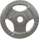 Victoria Sport Scheibenset Metall 1 x 2.5kg mit Griffen