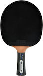 Donic Ping Pong Racket