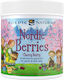 Nordic Naturals Nordic Berries Cherry Berry Πολυβιταμίνη για Ενέργεια, Ενίσχυση του Ανοσοποιητικού & το Νευρικό Σύστημα 600iu 36mg 120 ζελεδάκια