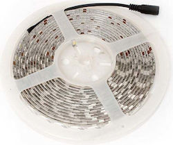 Abilite Αδιάβροχη Ταινία LED 12V Θερμό Λευκό 5m