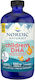 Nordic Naturals Children's DHA Рибено масло Подходящо за деца 530мг 473мл Ягода