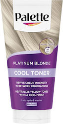 Palette Platinum Blonde Toner Platinum Blonde