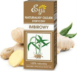 Ginger Oil Etja 10 Ml