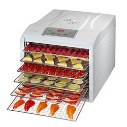 Concept Lebensmittel-Dehydrator mit Regalen