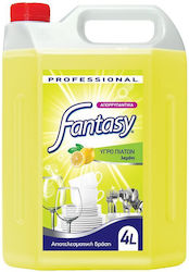 Fantasy Spülmittel mit Zitronen Duft Professionell 4000ml